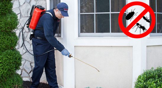 Finike Dezenfeksiyon böcek ilaçlama ve haşere kontrolü — ilaclama-tr.com